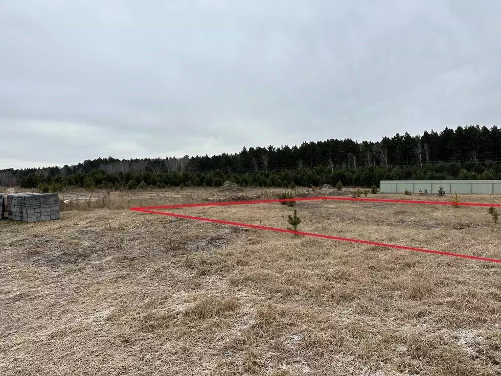 Участок в Тюменская область, Тюменский муниципальный округ, Серебряный ... - Фото 2