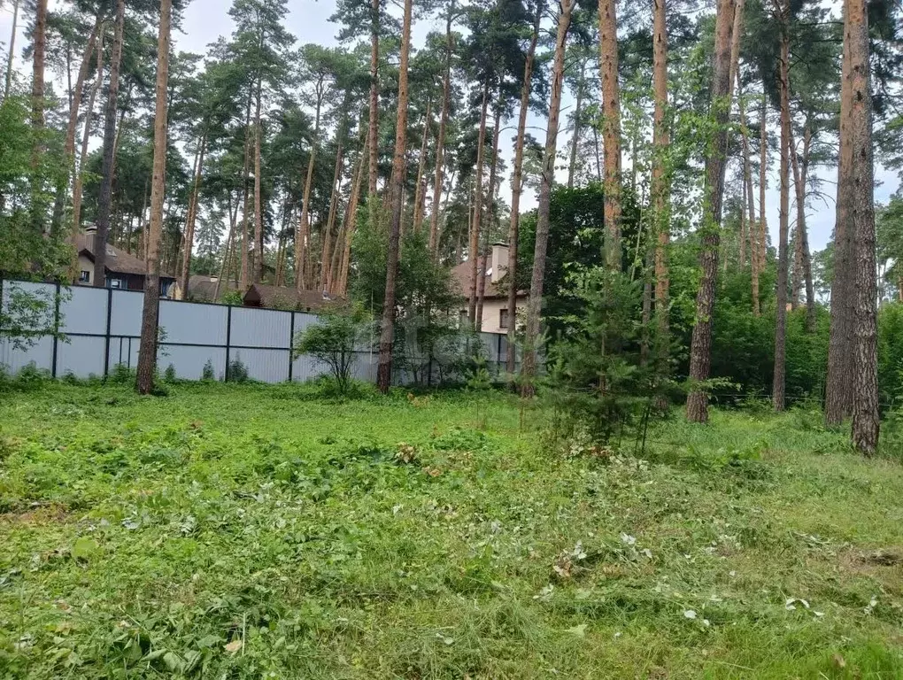 Участок в Московская область, Раменский муниципальный округ, Кратово ... - Фото 0
