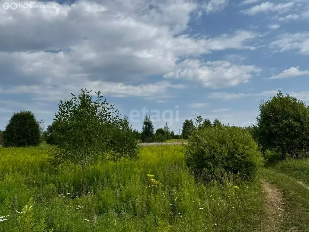 Участок в Нижегородская область, Городецкий муниципальный округ, ... - Фото 0