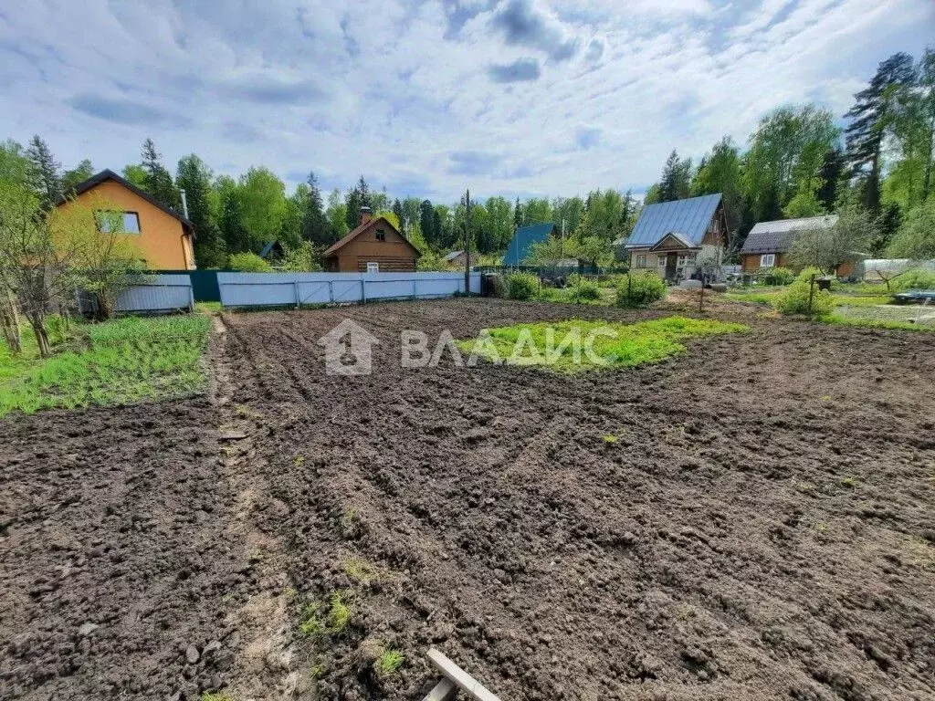 Участок в Владимирская область, Владимир Автомобилист СНТ, 284 (6.0 ... - Фото 1