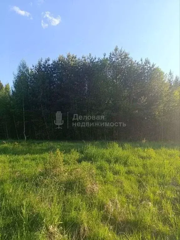 Участок в Новгородская область, Новгородский район, Бронницкое с/пос, ... - Фото 0