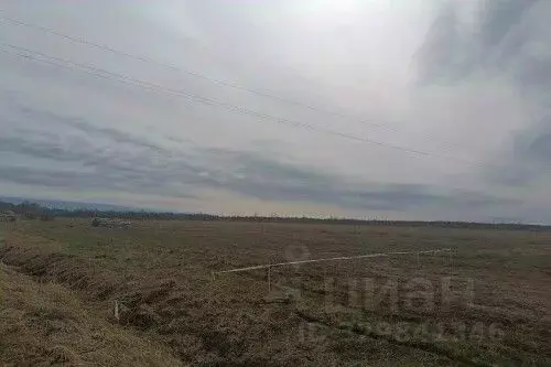 Участок в Новгородская область, Новгородский муниципальный район, ... - Фото 2
