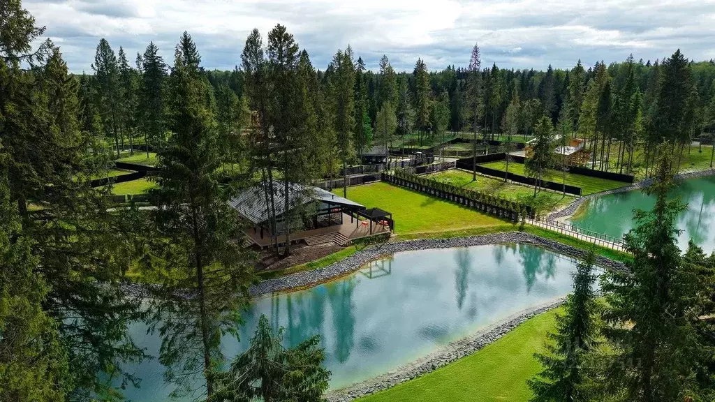 Участок в Московская область, Клин городской округ, д. Поджигородово  ... - Фото 0