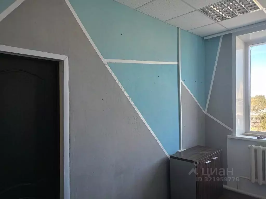 Помещение свободного назначения в Новосибирская область, с. Убинское ... - Фото 1