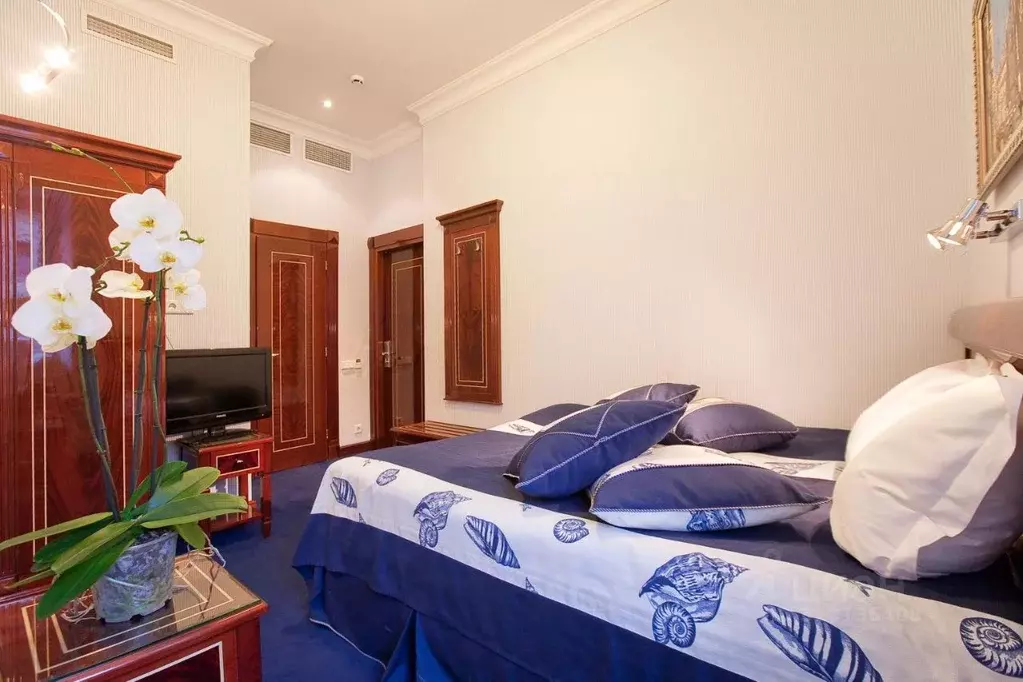 Комната Санкт-Петербург Большая Конюшенная ул., 12 (12.0 м) - Фото 2