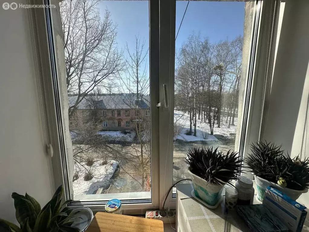 1-комнатная квартира: посёлок Ермаково, Молодёжная улица, 1 (34 м) - Фото 2