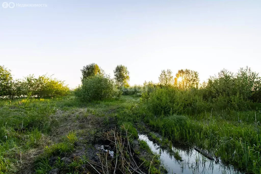 Участок в Тюменский район, село Мальково (60 м) - Фото 1