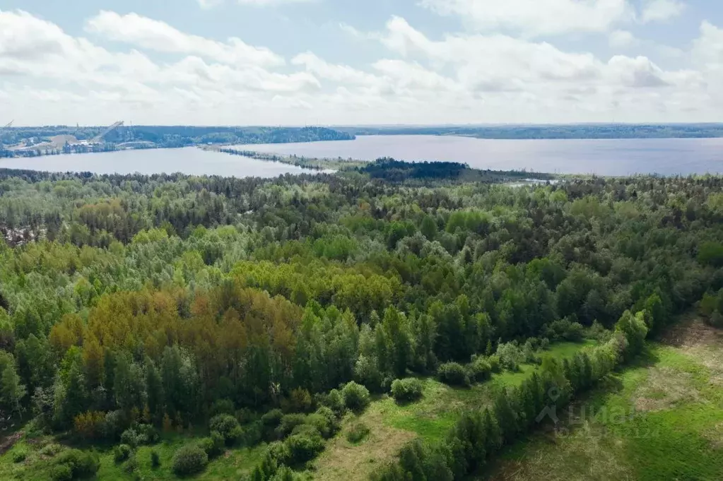 Участок в Ленинградская область, Всеволожский район, Лесколовское ... - Фото 1