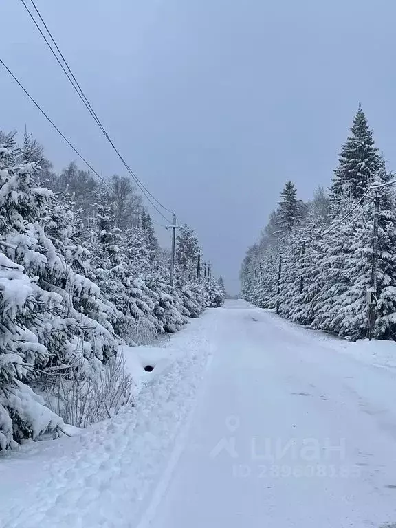 Дом в Московская область, Дмитровский муниципальный округ, Дубровка кп ... - Фото 2