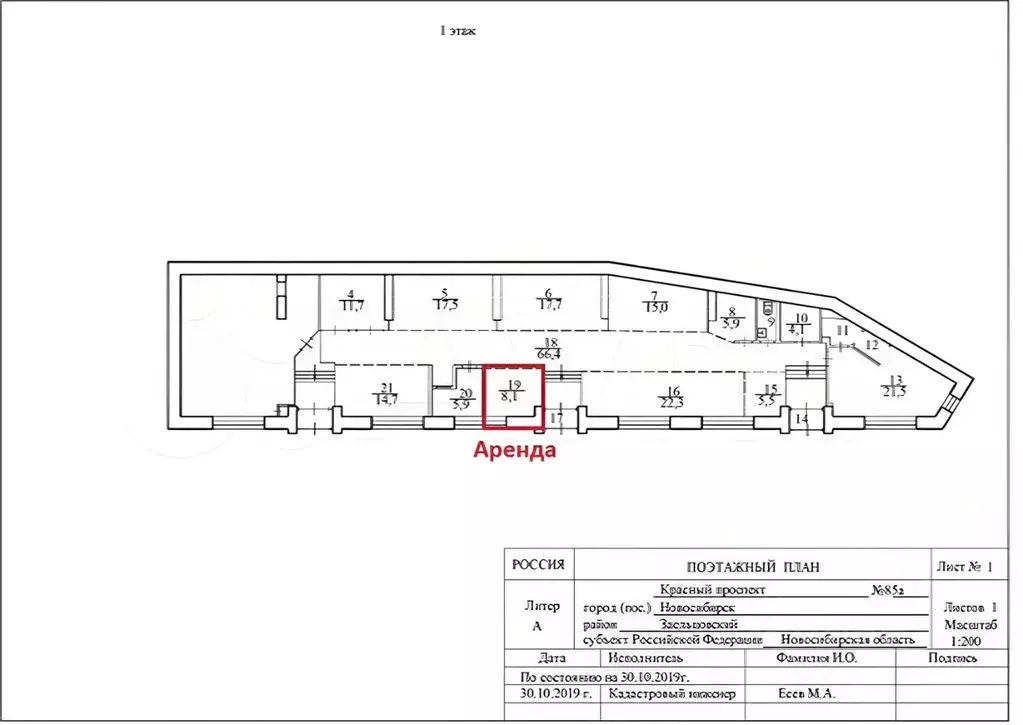 Торговая площадь в Новосибирская область, Новосибирск Красный просп., ... - Фото 2