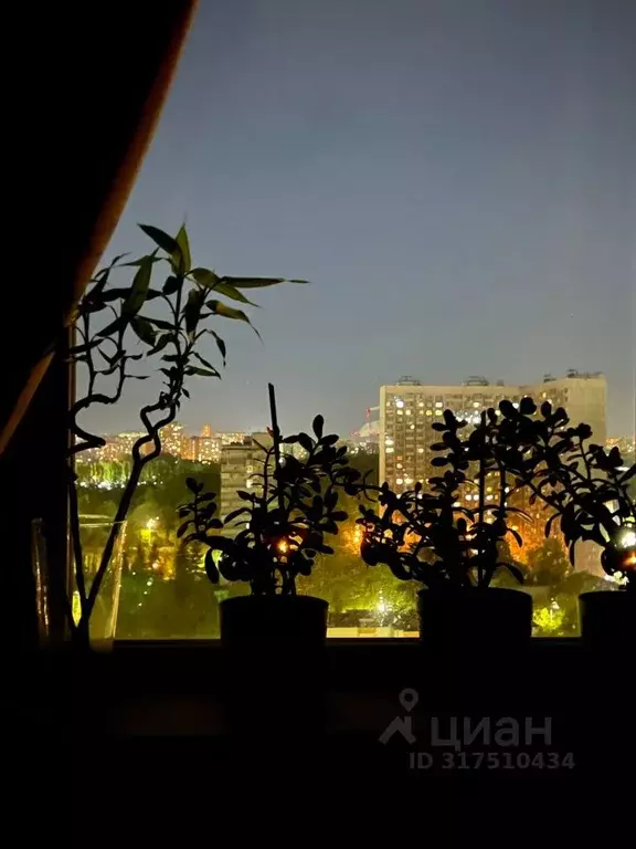 3-к кв. Москва Чукотский проезд, 4 (74.0 м) - Фото 0