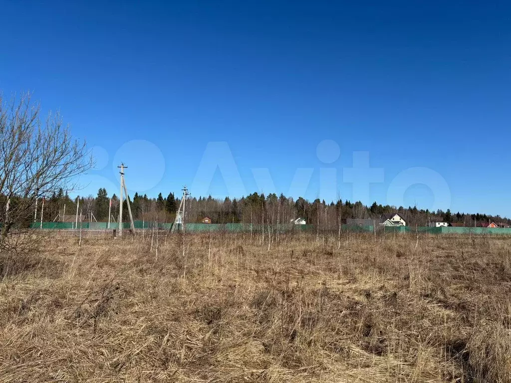 Участок 10 сот. (СНТ, ДНП) - Фото 1