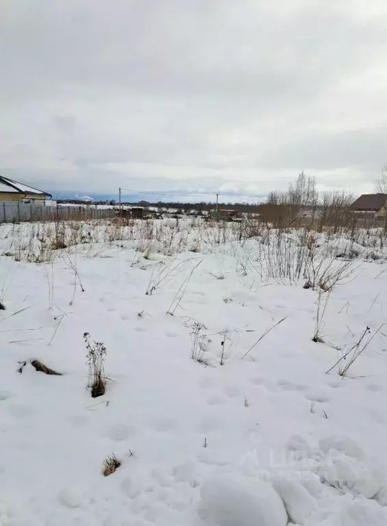 Участок в Нижегородская область, Арзамас городской округ, д. Князевка ... - Фото 0