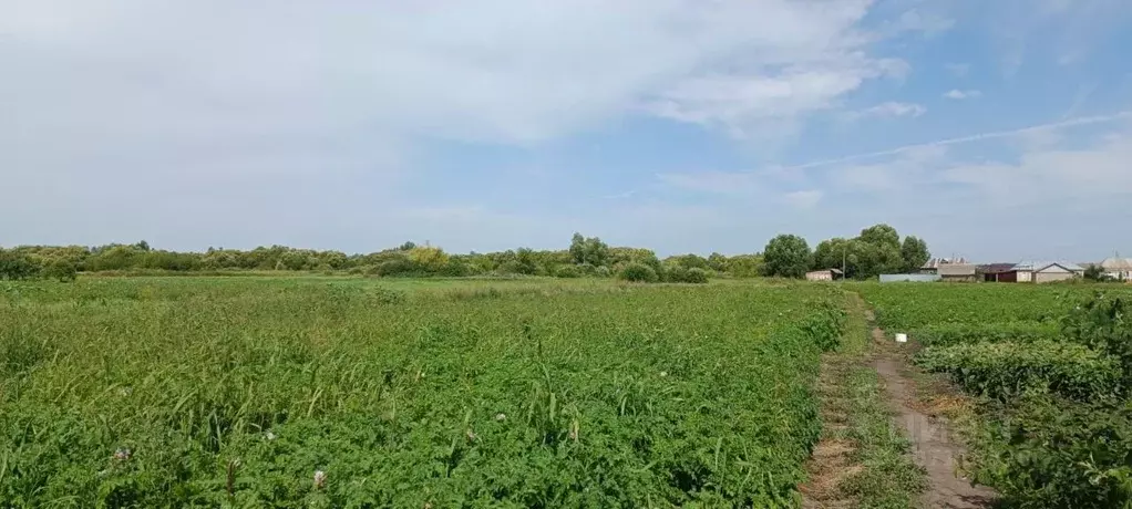 дом в тамбовская область, тамбовский муниципальный округ, с. . - Фото 1