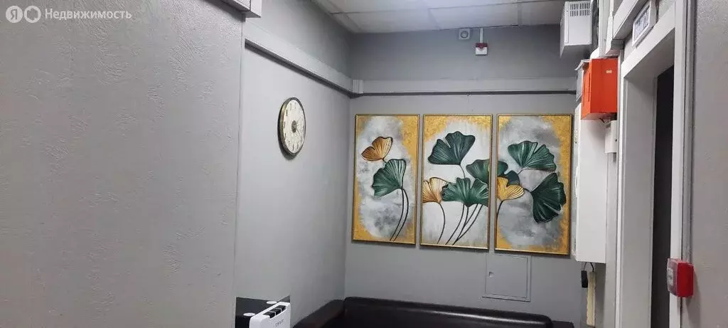 Помещение свободного назначения (24.8 м) - Фото 1