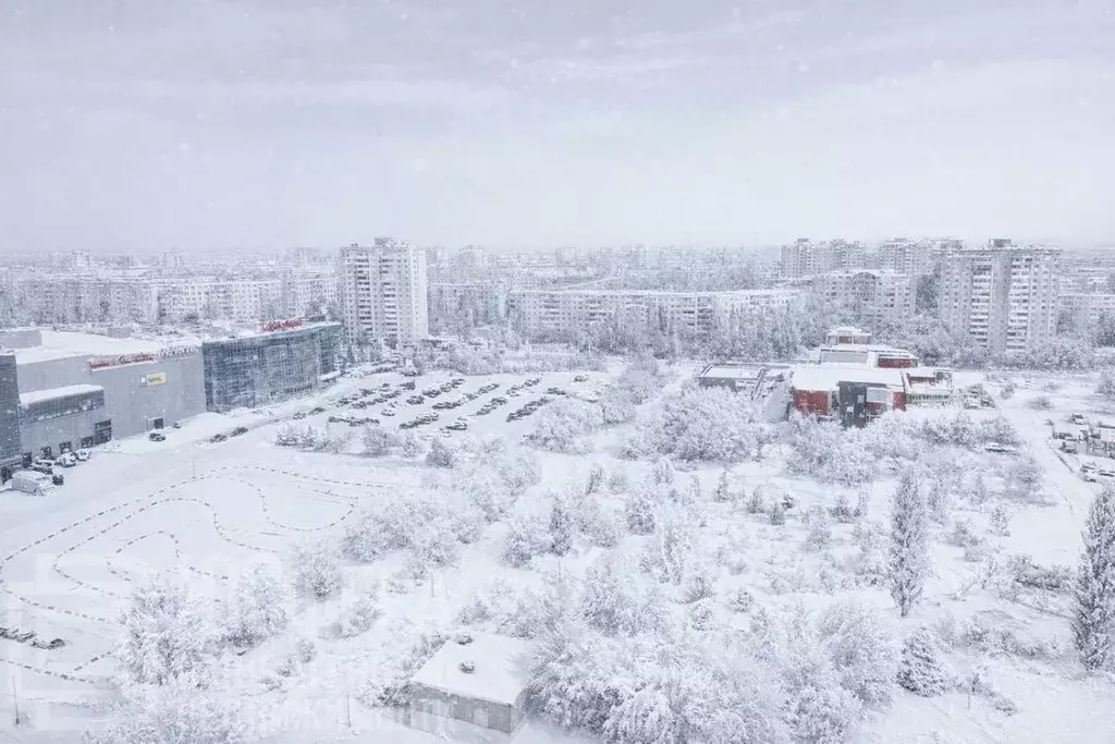 3-к кв. Волгоградская область, Волгоград бул. 30-летия Победы, 19Б ... - Фото 1