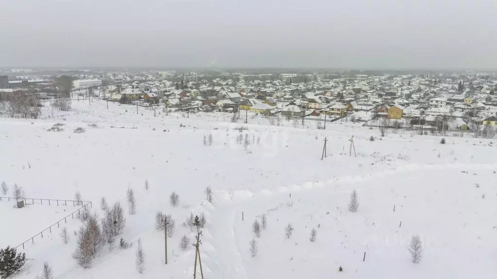 Участок в Новосибирская область, Новосибирский район, Станционный ... - Фото 1