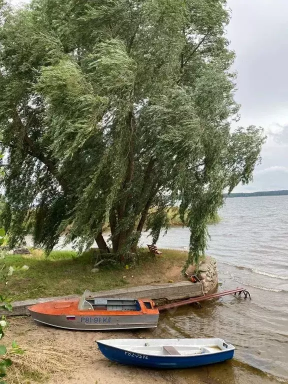 Дом в Тверская область, Осташковский муниципальный округ, д. Пески 16А ... - Фото 2