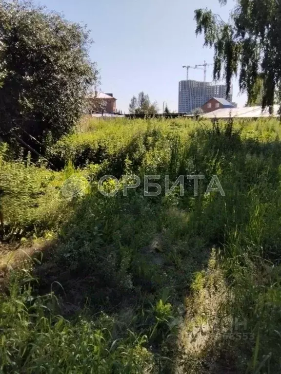 Участок в Тюменская область, Тюмень Микрорайон мыс, ул. Дачная (5.06 ... - Фото 2