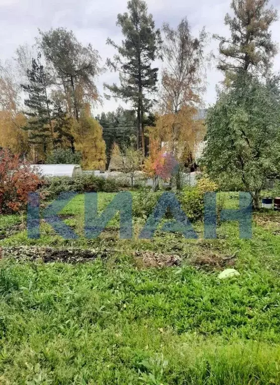 Участок в Красноярский край, Красноярск Ручеек садовое товарищество, ... - Фото 2