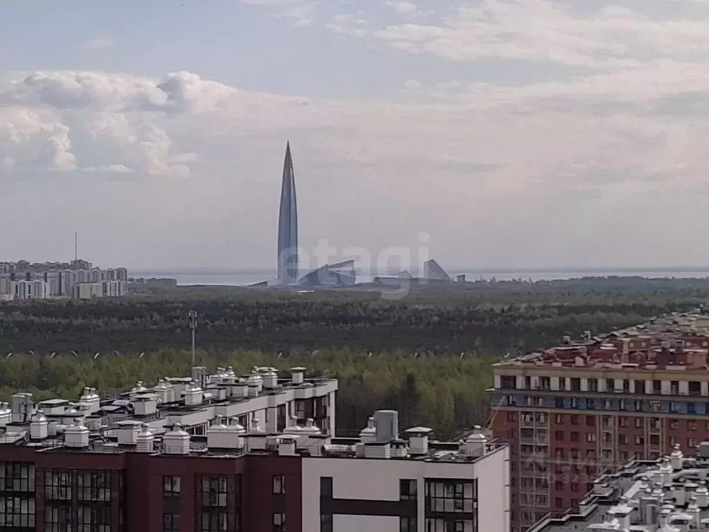 Студия Санкт-Петербург ул. Плесецкая, 10 (21.0 м) - Фото 2