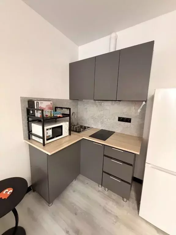 Студия Московская область, Химки городской округ, д. Рузино, ... - Фото 2