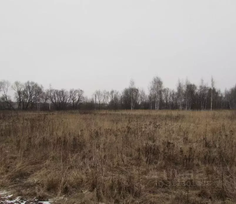 Участок в Московская область, Коломна городской округ, д. Жиливо  ... - Фото 0