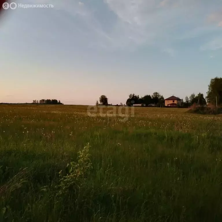 Участок в Ярославская область, Тутаевский муниципальный округ, ... - Фото 1