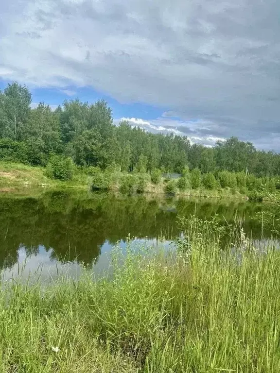 Участок в Владимирская область, Петушинский муниципальный округ, д. ... - Фото 1