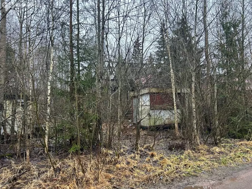 Участок в Пениковское сельское поселение, садоводческое некоммерческое ... - Фото 2