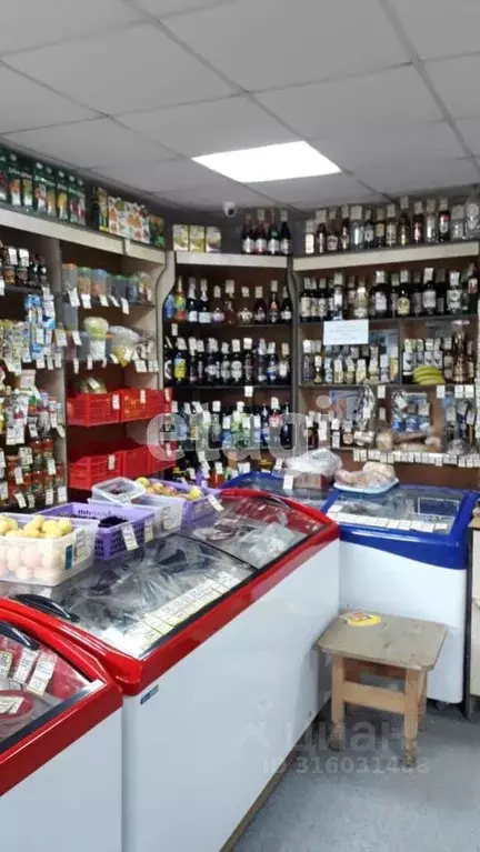 Торговая площадь в Коми, Ухта Северная ул., 18Д (54 м) - Фото 1