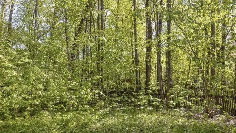 Участок, 24 сот., поселения (ижс) - Фото 1