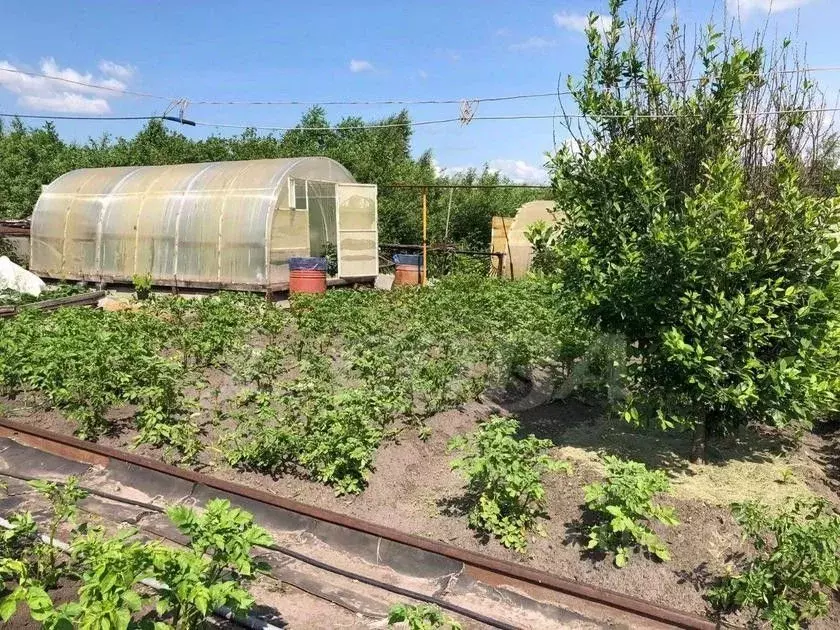 Дом в Тюменская область, Тюменский муниципальный округ, Винзили рп ул. ... - Фото 1