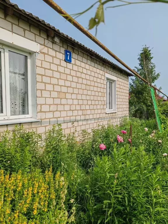 Дом 51,4 м на участке 50 сот. - Фото 1