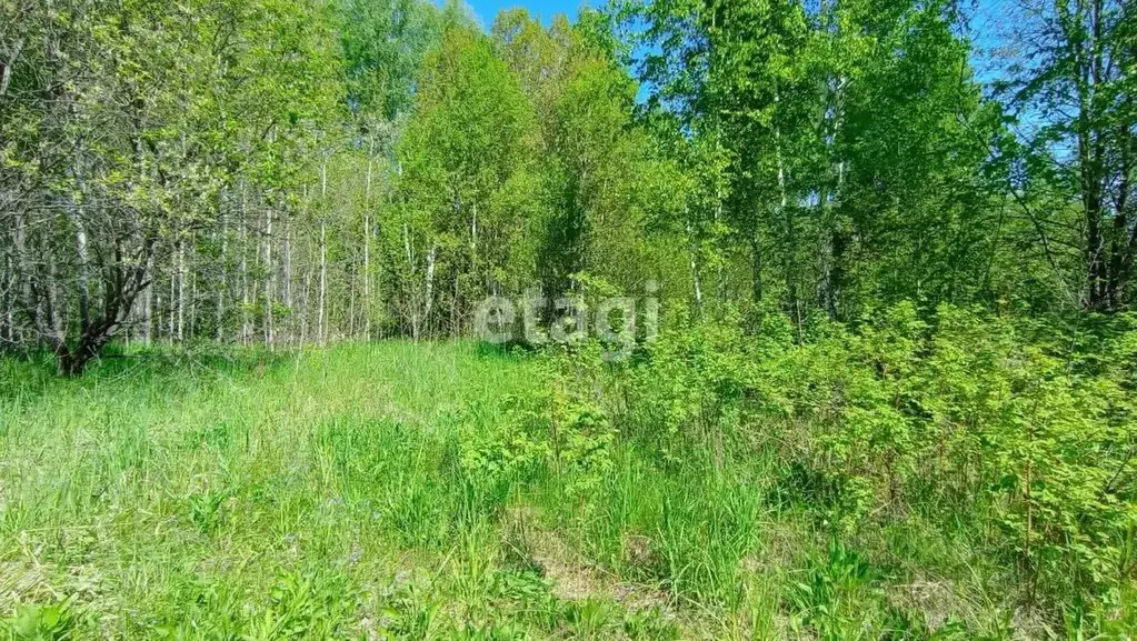 Участок в Новосибирская область, Искитимский район, Морозовский ... - Фото 1