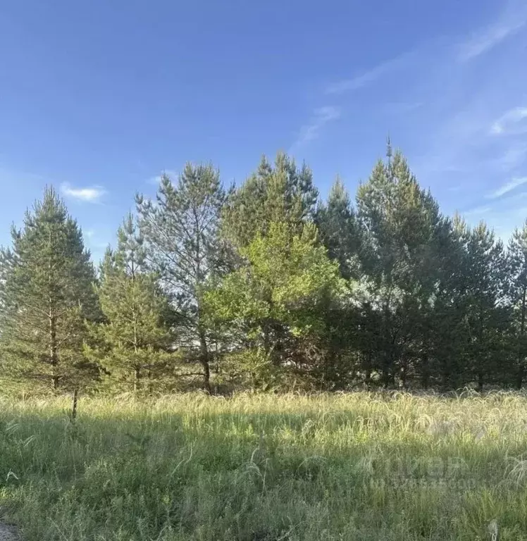 Участок в Самарская область, Красный Яр с/пос, пос. Кириллинский ул. ... - Фото 1