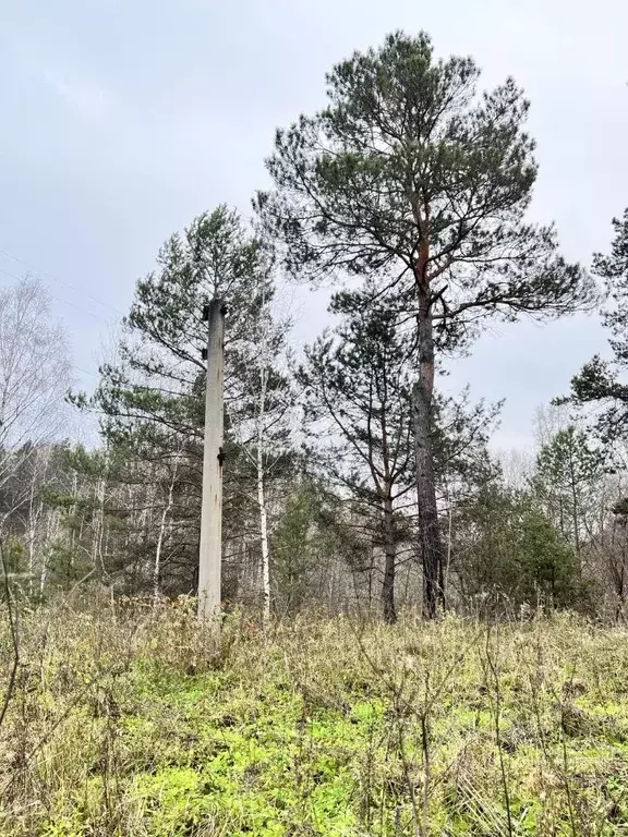 Участок в Новосибирская область, Новосибирск ул. 2-я Ельцовка (9.4 ... - Фото 1