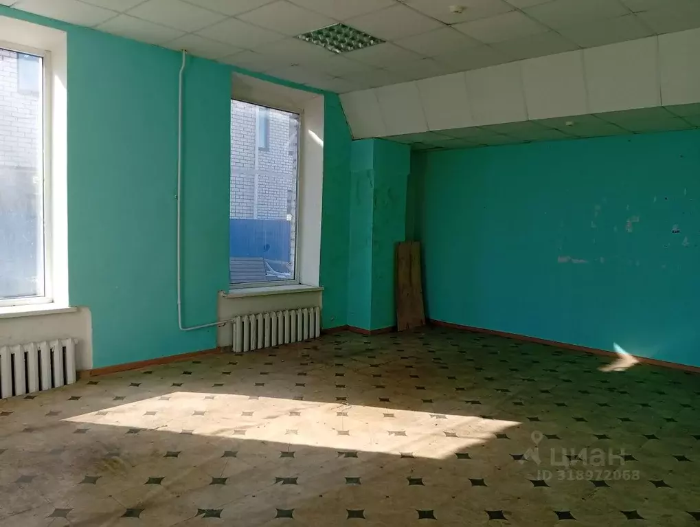 Помещение свободного назначения в Брянская область, Брянск ул. ... - Фото 1