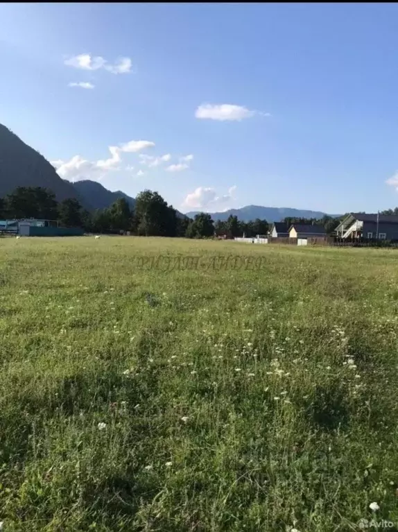 Участок в Алтай, Чемальский район, с. Чемал  (12.0 сот.) - Фото 2