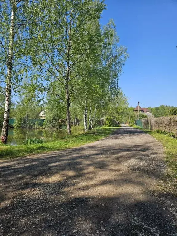 Участок 6 сот. (СНТ, ДНП) - Фото 0