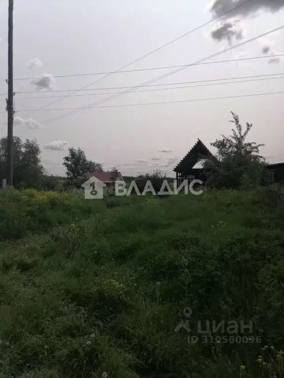 Участок в Владимирская область, Суздальский район, Селецкое ... - Фото 0