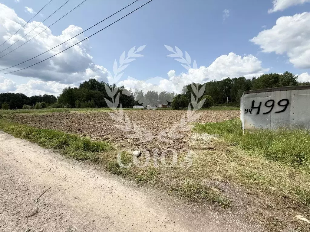 Участок в Калужская область, Калуга городской округ, д. Лихун ул. ... - Фото 2