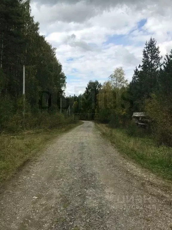 Участок в Свердловская область, Ревда муниципальный округ, с. Кунгурка ... - Фото 1