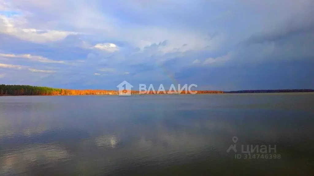 Участок в Рязанская область, Клепиковский район, Ненашкинское с/пос, ... - Фото 1
