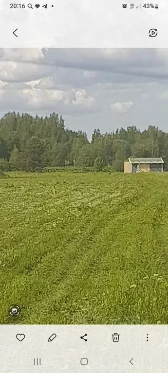 Участок в Ленинградская область, Выборгский район, Гончаровское с/пос  ... - Фото 2