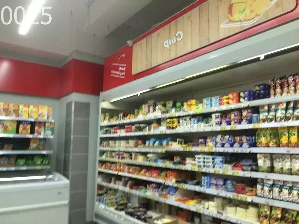 Помещение свободного назначения в Краснодарский край, Сочи Донская ... - Фото 2