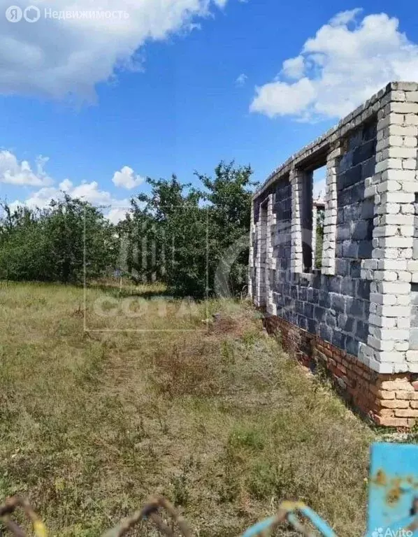 Участок в Воронеж, СНТ Вега-88, 8-я улица (5.8 м) - Фото 0