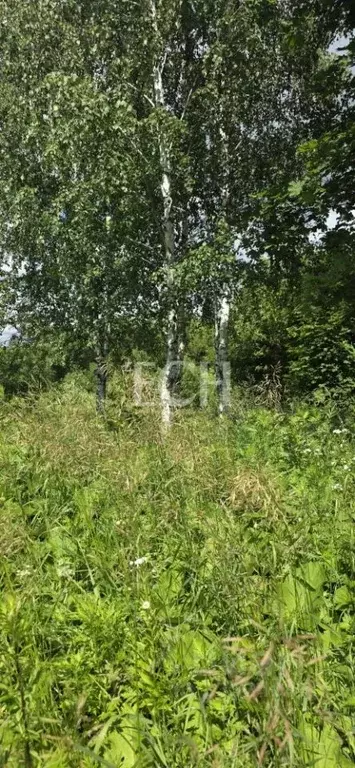 Участок в Тульская область, Тула пос. Рудаково,  (9.0 сот.) - Фото 1