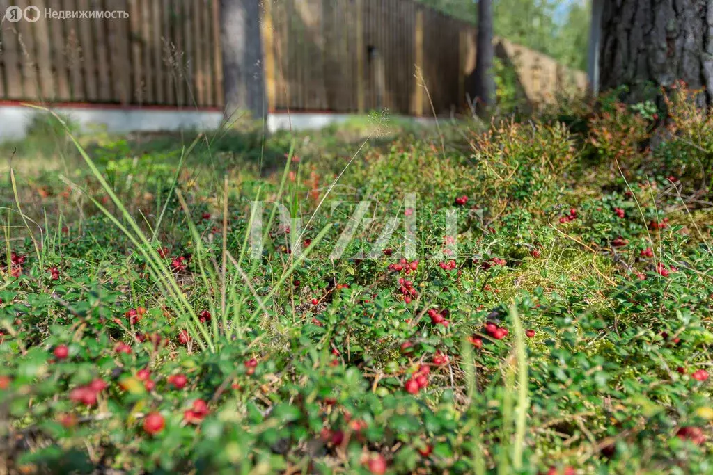 Дом в Выборгский район, городской посёлок Рощино (185 м) - Фото 2