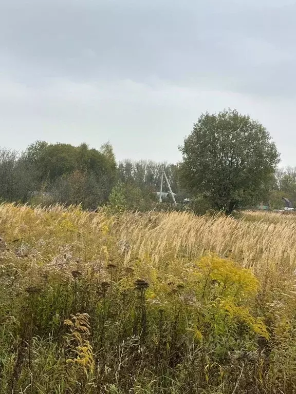 Участок в Тульская область, Ясногорский район, Ревякинское с/пос, № 20 ... - Фото 2